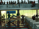 Foto Nataci&oacute;n