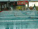 Foto Nataci&oacute;n