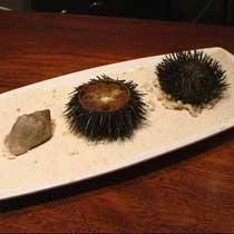 Erizo de mar Erizo de mar