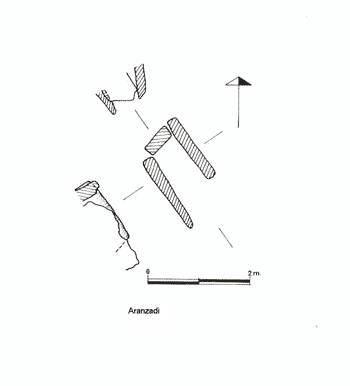 Aranzadi trikuharria